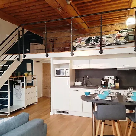 Style Canut Pentes Croix Rousse Appartement