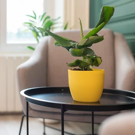 Apartamento Luxury 
