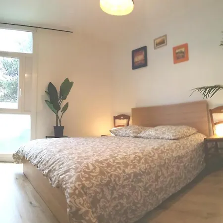 Résidence Du Parc Des Tilleuls De Appartement *