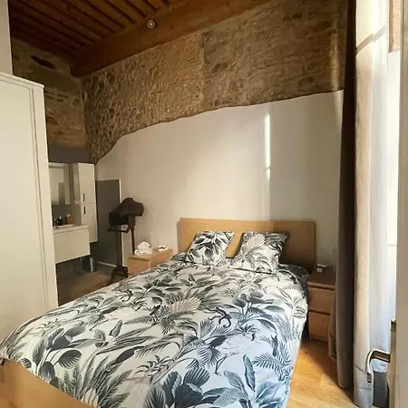 Konukevi Coeur Vieux Lyon, 60 M2 Lumineux Confort *