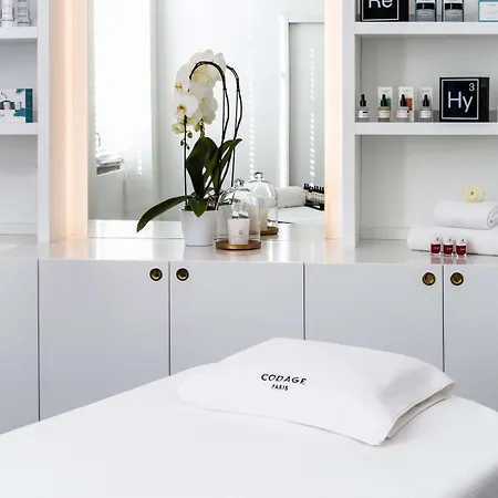 Carlton - Mgallery Collection 4* Лион