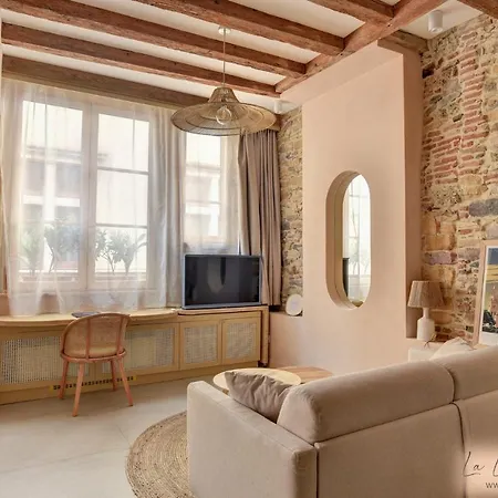 La Loge Du Reveur - - Vieux-lyon Appartement *