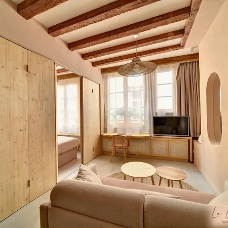 Appartement La Loge Du Reveur - - Vieux-lyon