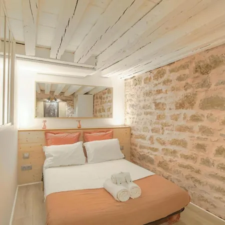 Apartamento Duplex De Caractere En Hypercentre *