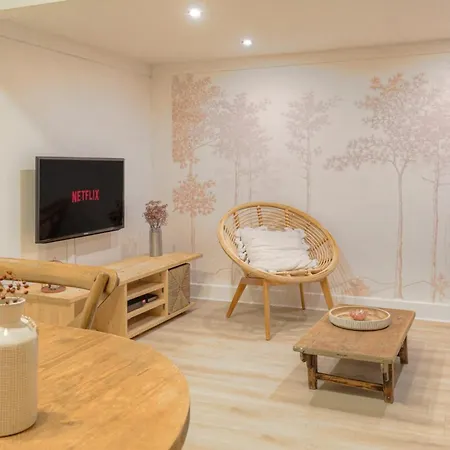 Duplex De Caractere En Hypercentre Apartamento Lyon