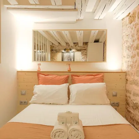 Duplex De Caractere En Hypercentre Apartamento Lyon