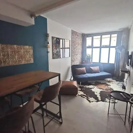 Joli T2 De 37m2 Style Loft Prox Gare Metro *