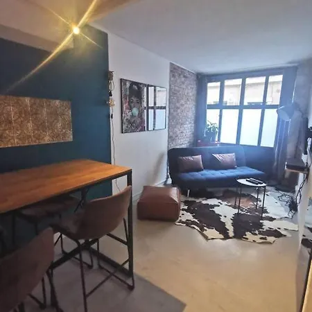 Joli T2 De 37m2 Style Loft Prox Gare Metro Appartamento