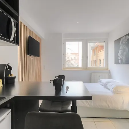 Apartment Lionne-stade Du Lou *