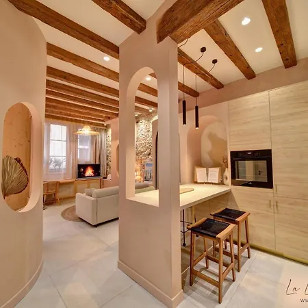 La Loge Du Reveur - - Vieux-lyon Appartement *