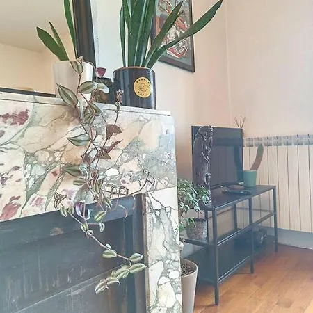 Spacieux T3 80m2 Plein Centre Presque Ile ! 里昂