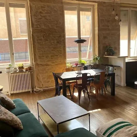 Beau T3 Canut Lumineux De 75m2 Lyon