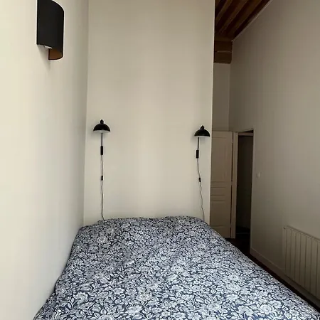 Bright T3 In The 1st Arrondissement Apartamento Lyon