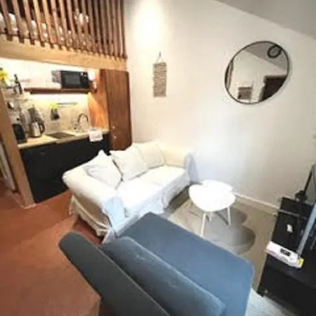 Le Cocon De Saint-jean Apartamento Lyon