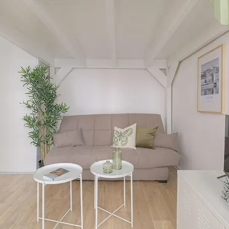 Le Dauphine Climatise 公寓 里昂