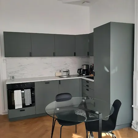 Haussmannien Renove Et Climatise, Centre De Apartment Lyon