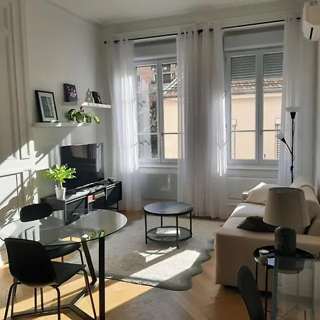 Haussmannien Renove Et Climatise, Centre De Lyon