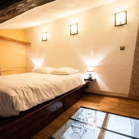 La Loge De Fourviere - 55m2 Vieux Apartment