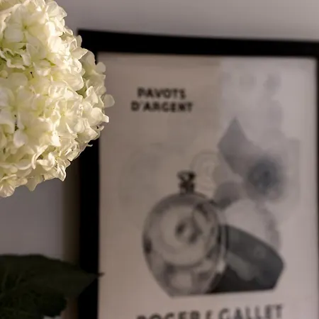 Apartamento L'ethnic Ambience - Superbe Confort Au Coeur Du Vieux Lyon