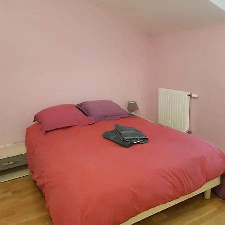 Duplex Cosy - 3 Avec Garage, Balcon Et Clim * リヨン