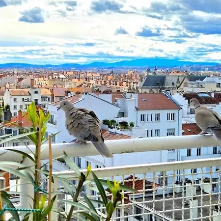 Plein Sud Terrasse Climatisation Garage Netflix Apartamento Lyon