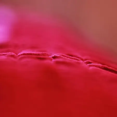 Le Xvi De La Rose Daire