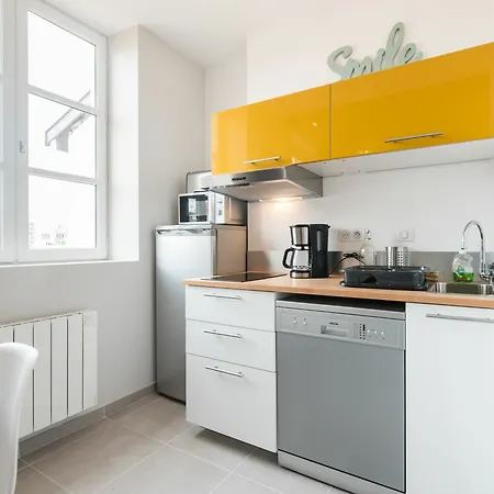 Appartement Loft Scandinave Part Dieu Et Parking