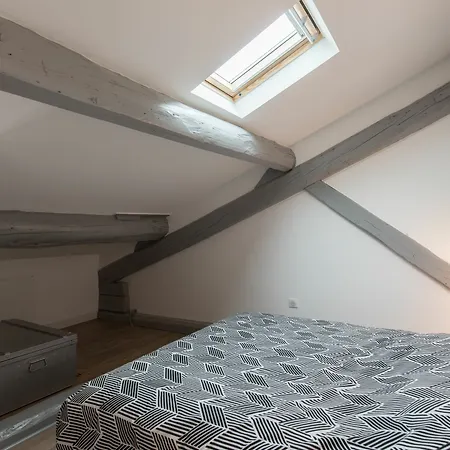 Appartement Loft Scandinave Part Dieu Et Parking *
