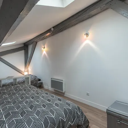 Loft Scandinave Part Dieu Et Parking Appartement Lyon