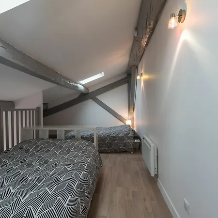 Loft Scandinave Part Dieu Et Parking Appartement Lyon