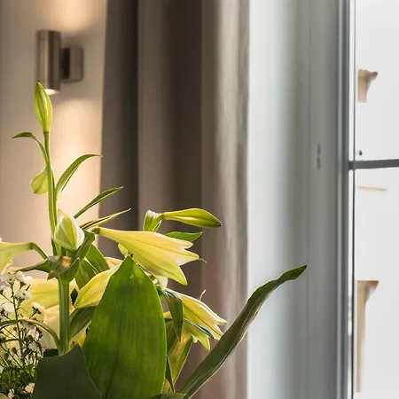 Cosy Апартаменты *