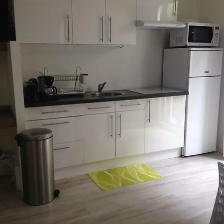 Le Croix Roussien Centre Apartamento *