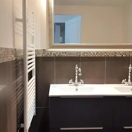 Cite Internationale Apartment Lyon