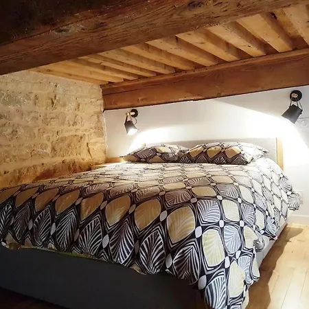 Cosy Appartement, Dans Les Pentes De La Croix Rousse Apartment *