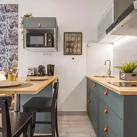 Sweet Vaise Apartment