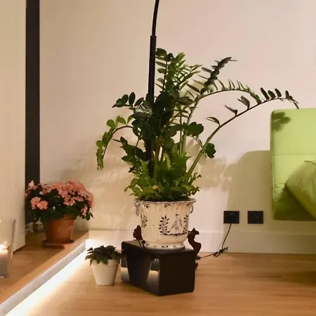 West Side - Full River View - Spacious - De Luxe Lyon