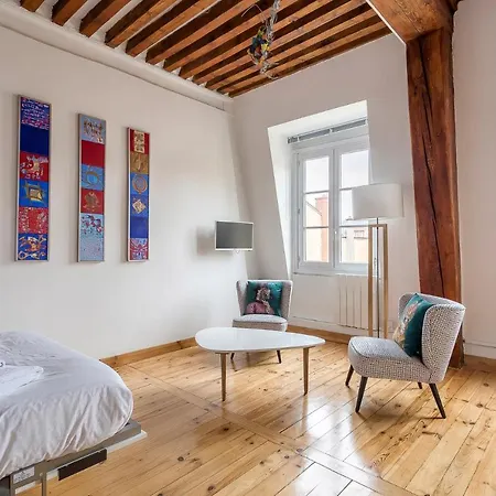 Apartment Janis - Studio Vue Sur Les Toits De - 2beapart Lyon
