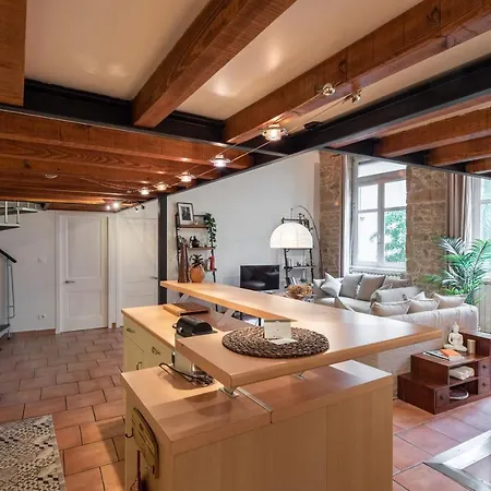 L'atelier De Pierre - T4 A La Croix Rousse Apartment *