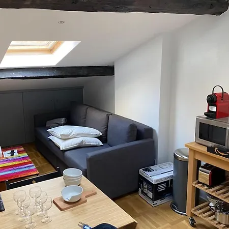 Le Petit Arloing-studio Quais De Saone Vaise Apartment *