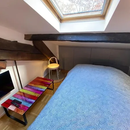 Apartment Le Petit Arloing-studio Quais De Saone Vaise
