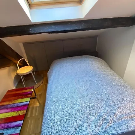 Apartment Le Petit Arloing-studio Quais De Saone Vaise Lyon