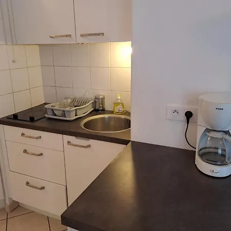 Appartement Le Meynis Lyon