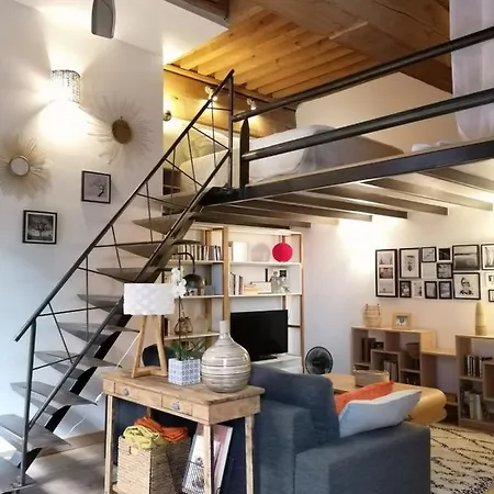 Apartment Authentic Loft With Mezzanine & Exposed Stones Heart Of Lyon