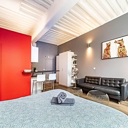 Apartment Le Petit Pradel-studio Cosy-opera De Lyon