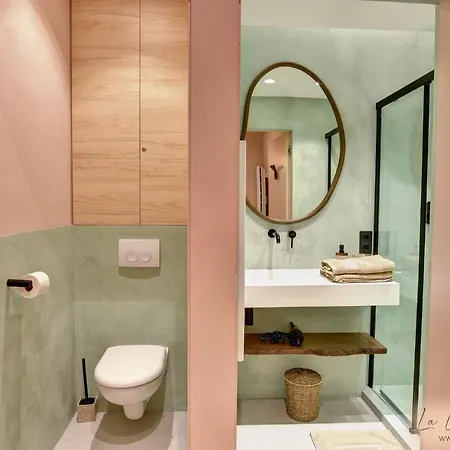 Apartment La Loge Du Reveur - - Vieux-lyon *