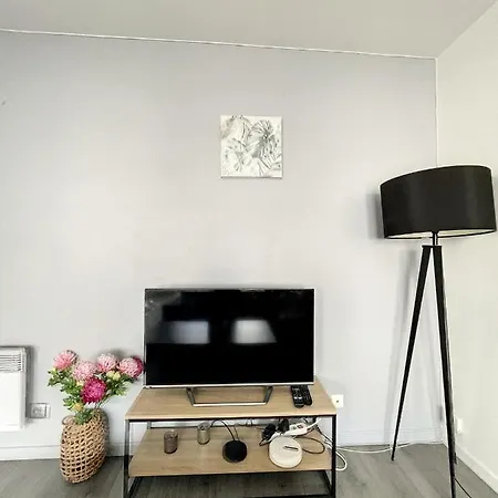 & Cosy, Charcot- Wifi - Lave Linge - Balcon - Parking Apartment Lyon