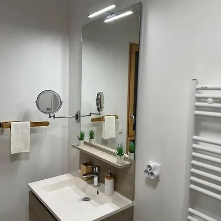 Apartment Gare Part-dieu Lyon