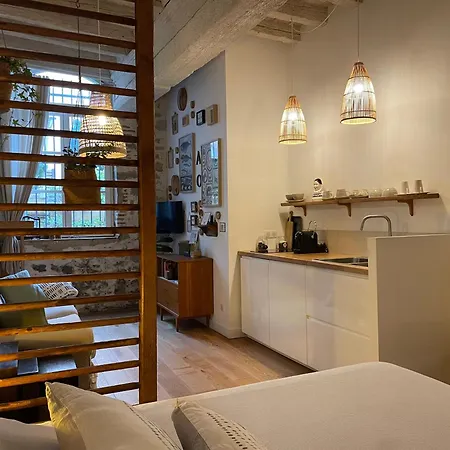Apartment Le Jardin Suspendu Vieux-lyon - Option Garage