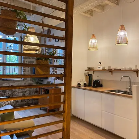 Le Jardin Suspendu Vieux-lyon - Option Garage Apartment Lyon