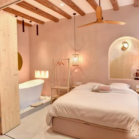 La Loge Du Reveur - - Vieux-lyon Apartment